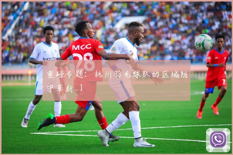 重磅专题：杭州羽毛球队的区域防守革新_1