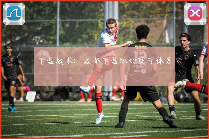 飞盘战术：成都飞盘队的防守体系