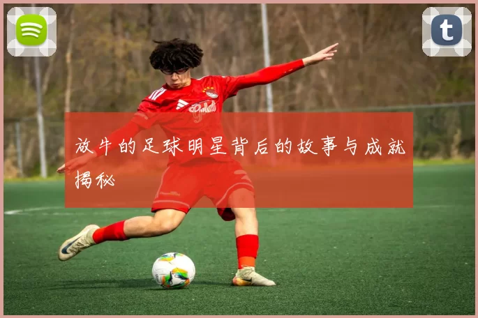 放牛的足球明星背后的故事与成就揭秘