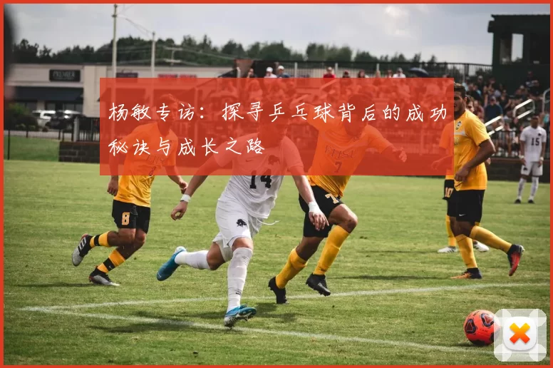 杨敏专访：探寻乒乓球背后的成功秘诀与成长之路