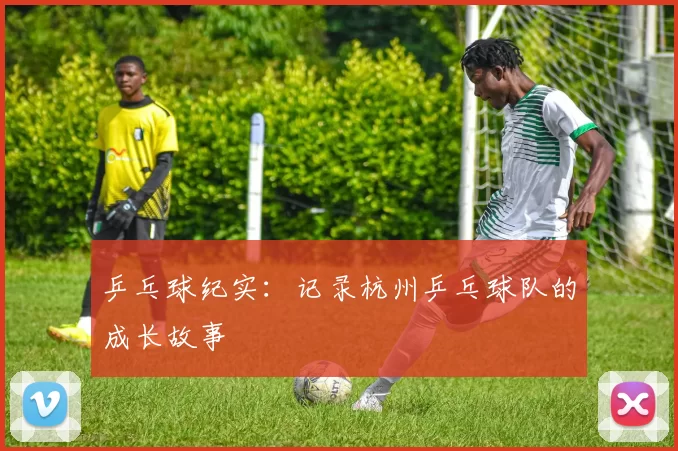 乒乓球纪实：记录杭州乒乓球队的成长故事