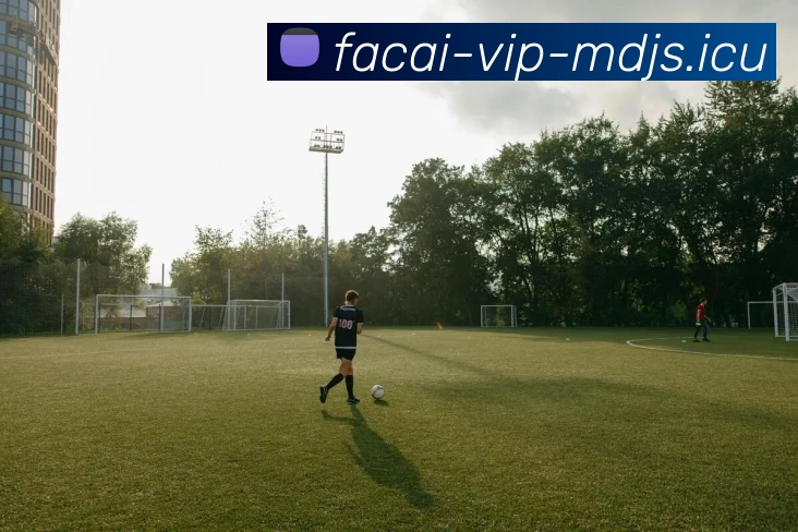 华体会体育APP 封面图